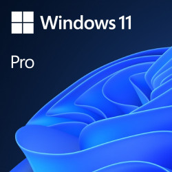 Microsoft OEM Windows Pro...